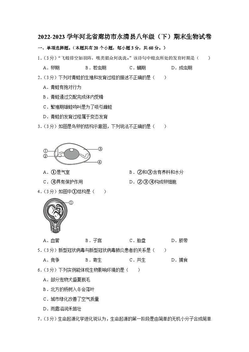 河北省廊坊市永清县2022-2023学年八年级下学期期末生物试卷（含答案）第1页