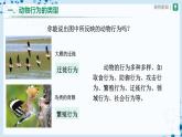 人教版八上生物  5.2.2 先天性行为和学习行为（第1课时）课件+教案+分层练习+学案