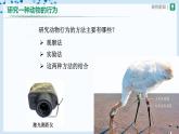 人教版八上生物  5.2.2 先天性行为和学习行为（第2课时）课件+教案+分层练习+学案