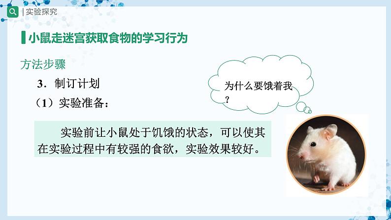 人教版八上生物  5.2.2 先天性行为和学习行为（第2课时）课件+教案+分层练习+学案06