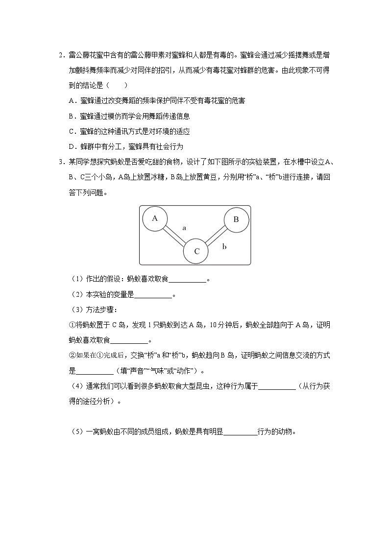 人教版八上生物  5.2.3 社会行为（第2课时）课件+教案+分层练习+学案03