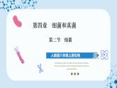 人教版八上生物  5.4.2 细菌课件+教案+分层练习+学案