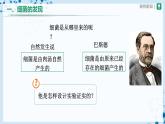 人教版八上生物  5.4.2 细菌课件+教案+分层练习+学案
