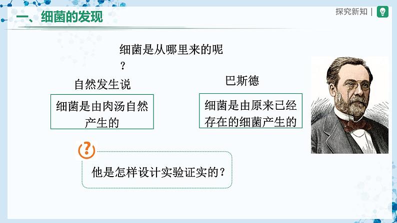 人教版八上生物  5.4.2 细菌课件+教案+分层练习+学案04