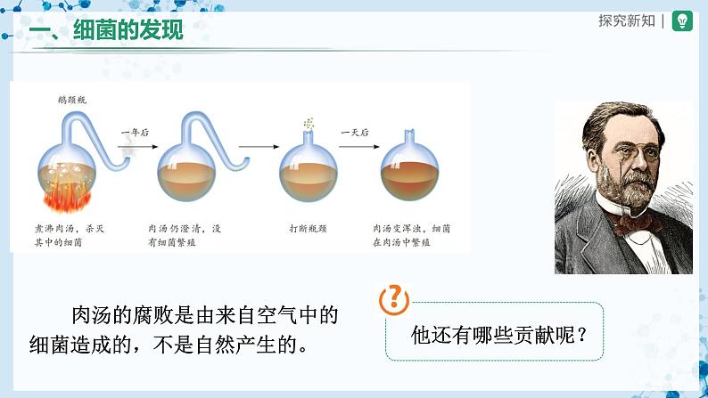 人教版八上生物  5.4.2 细菌课件+教案+分层练习+学案05