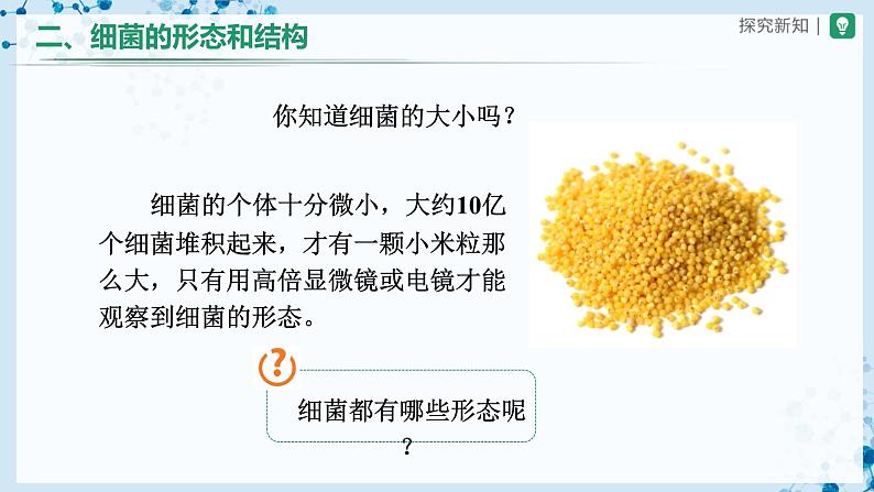 人教版八上生物  5.4.2 细菌课件+教案+分层练习+学案07