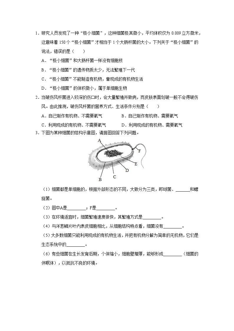 5.4.2 细菌（分层作业）第3页