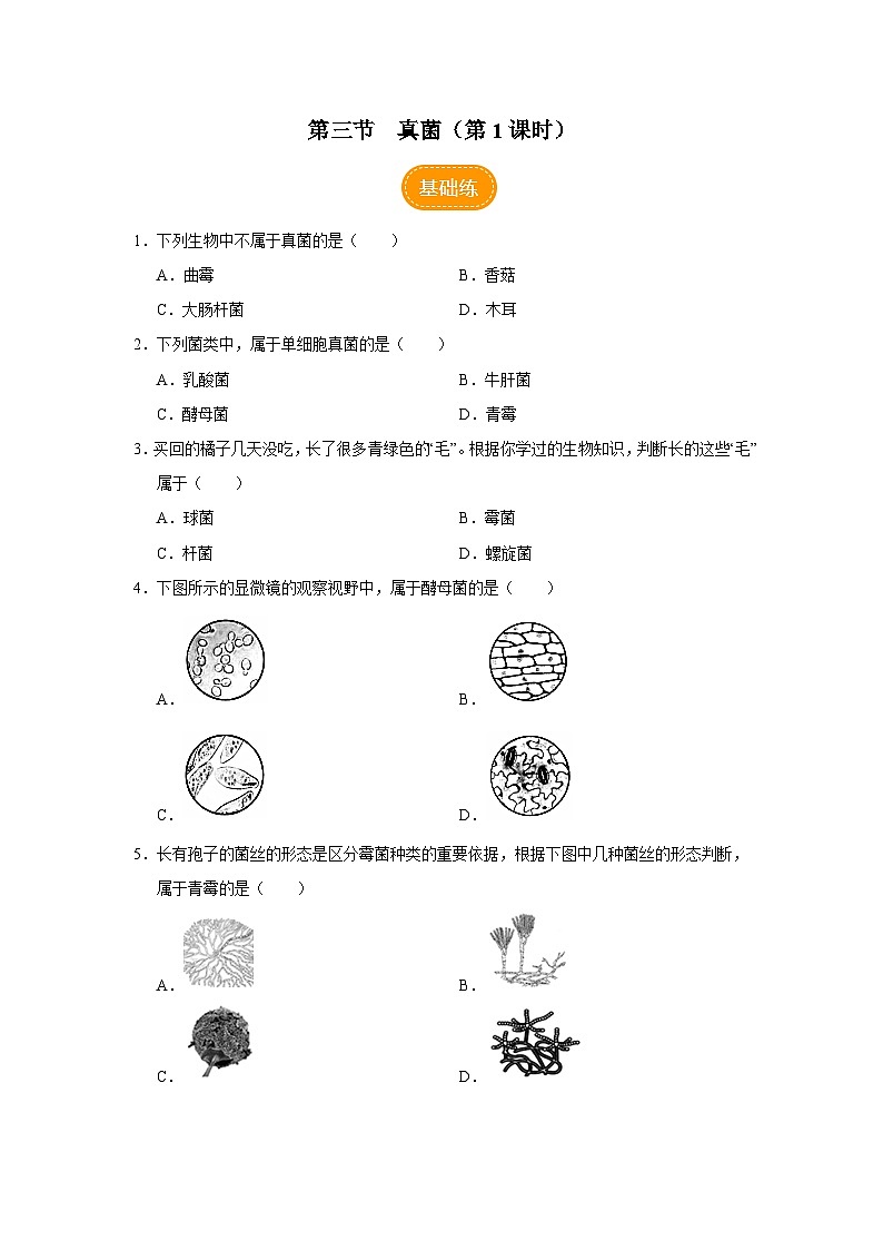 人教版八上生物  5.4.3 真菌（第1课时）课件+教案+分层练习+学案01