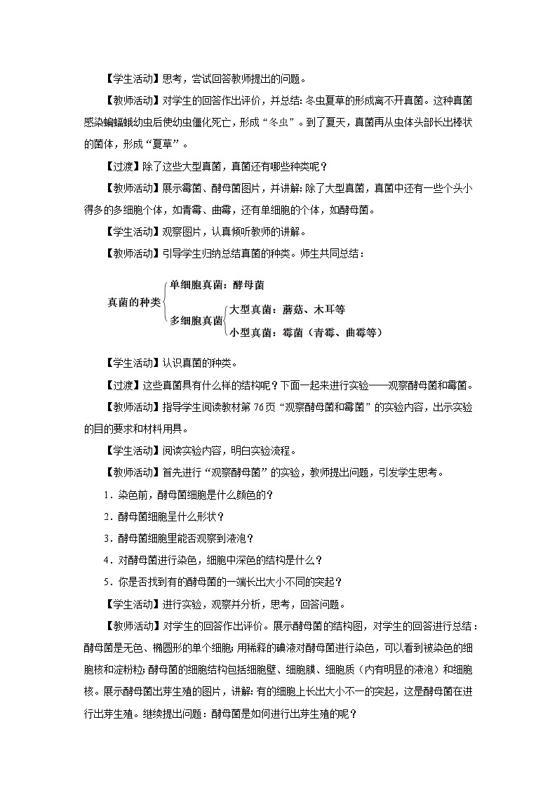 人教版八上生物  5.4.3 真菌（第1课时）课件+教案+分层练习+学案02