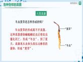 人教版八上生物  5.4.3 真菌（第1课时）课件+教案+分层练习+学案