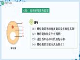 人教版八上生物  5.4.3 真菌（第2课时）课件+教案+分层练习+学案