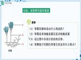 【人教版】八上生物  5.4.3 真菌（第2课时）（课件+教案+学案+分层练习）