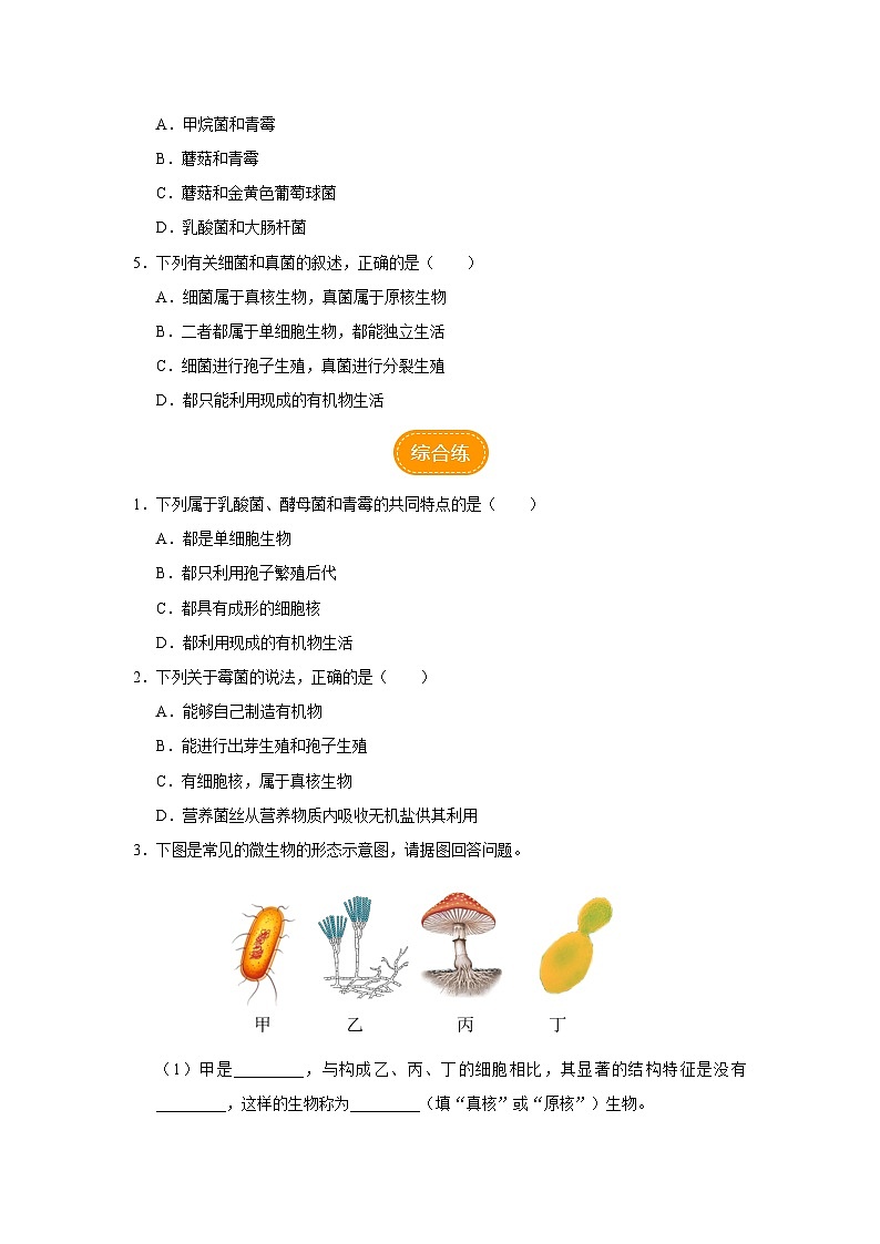 人教版八上生物  5.4.3 真菌（第2课时）课件+教案+分层练习+学案03