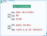 人教版八上生物  5.1.6 鸟（第2课时）课件+教案+分层练习+学案