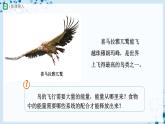 人教版八上生物  5.1.6 鸟（第2课时）课件+教案+分层练习+学案