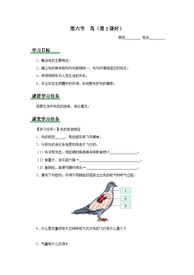5.1.6 鸟（第2课时）（知识导学）第1页