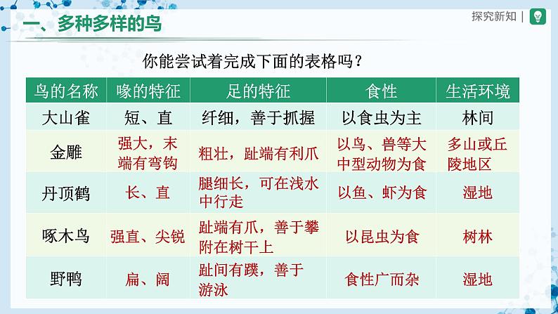 人教版八上生物  5.1.6 鸟（第1课时）课件+教案+分层练习+学案05