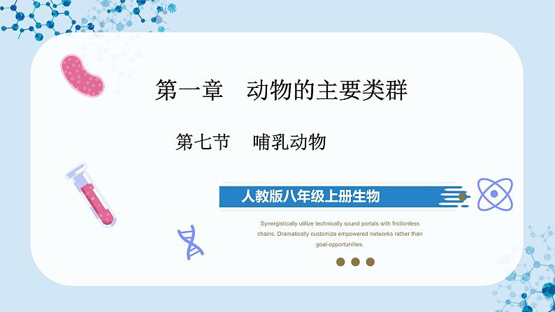 人教版八上生物  5.1.7 哺乳动物课件+教案+分层练习+学案01