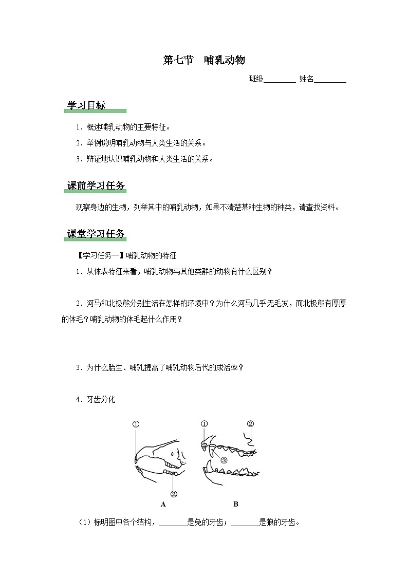 人教版八上生物  5.1.7 哺乳动物课件+教案+分层练习+学案01