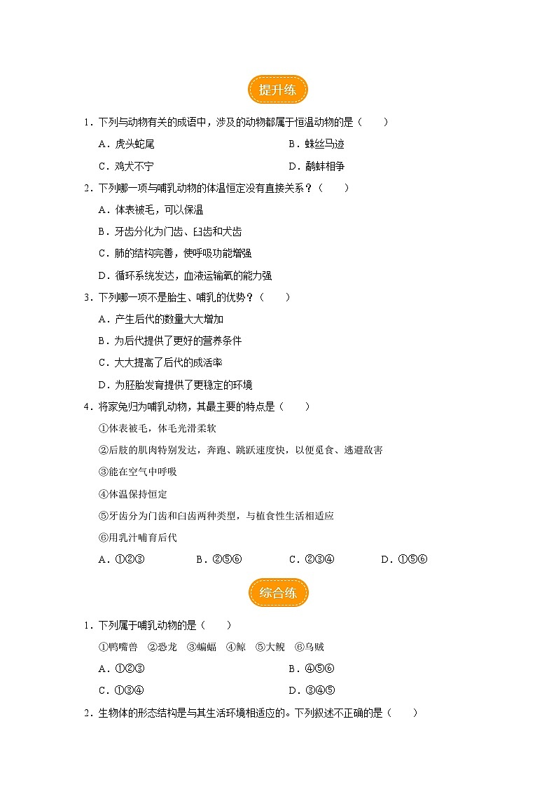 人教版八上生物  5.1.7 哺乳动物课件+教案+分层练习+学案02