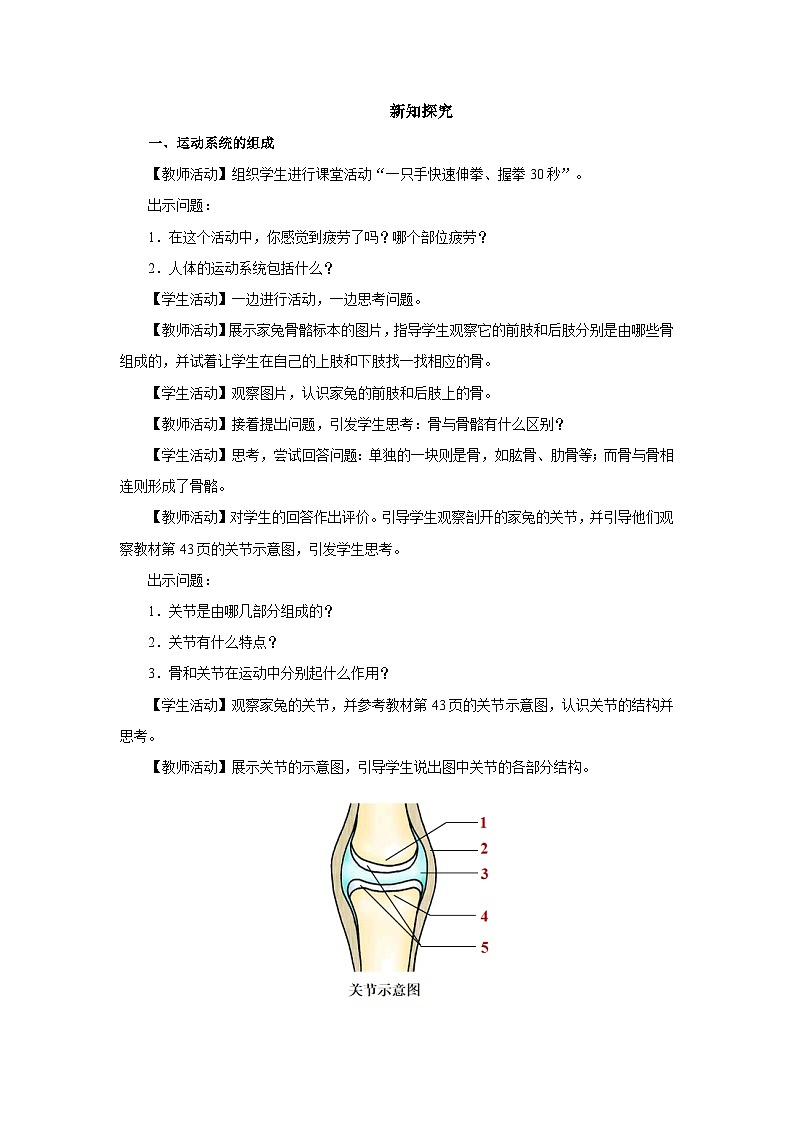 人教版八上生物  5.2.1 动物的运动课件+教案+分层练习+学案02