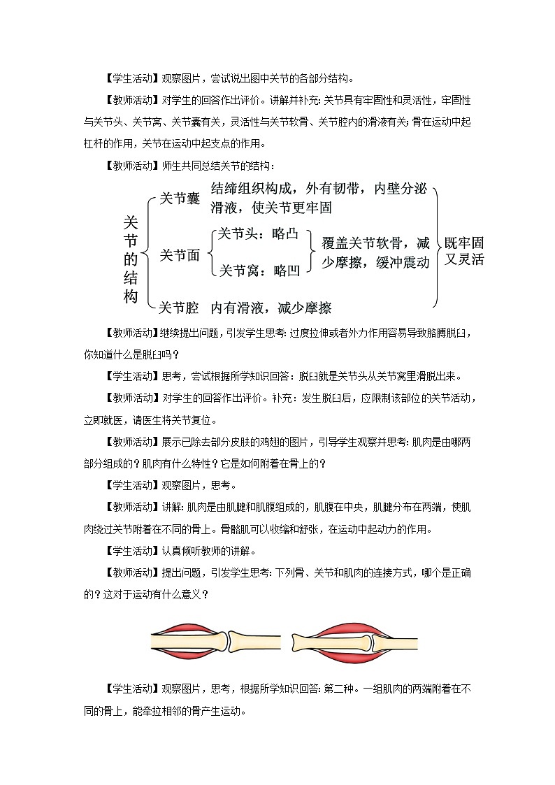 人教版八上生物  5.2.1 动物的运动课件+教案+分层练习+学案03