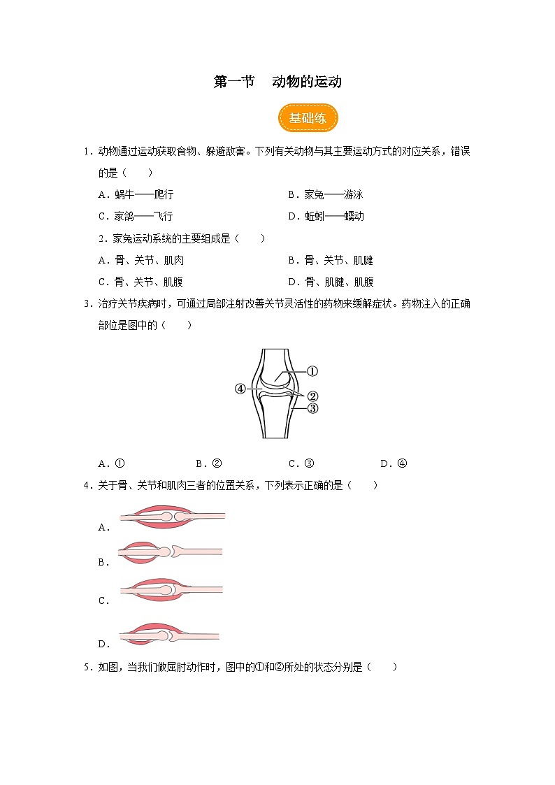 人教版八上生物  5.2.1 动物的运动课件+教案+分层练习+学案01