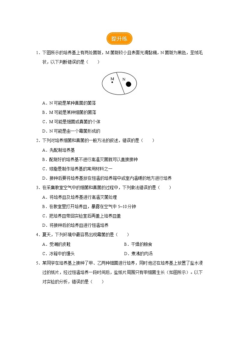 人教版八上生物  5.4.1 细菌和真菌的分布课件+教案+分层练习+学案02