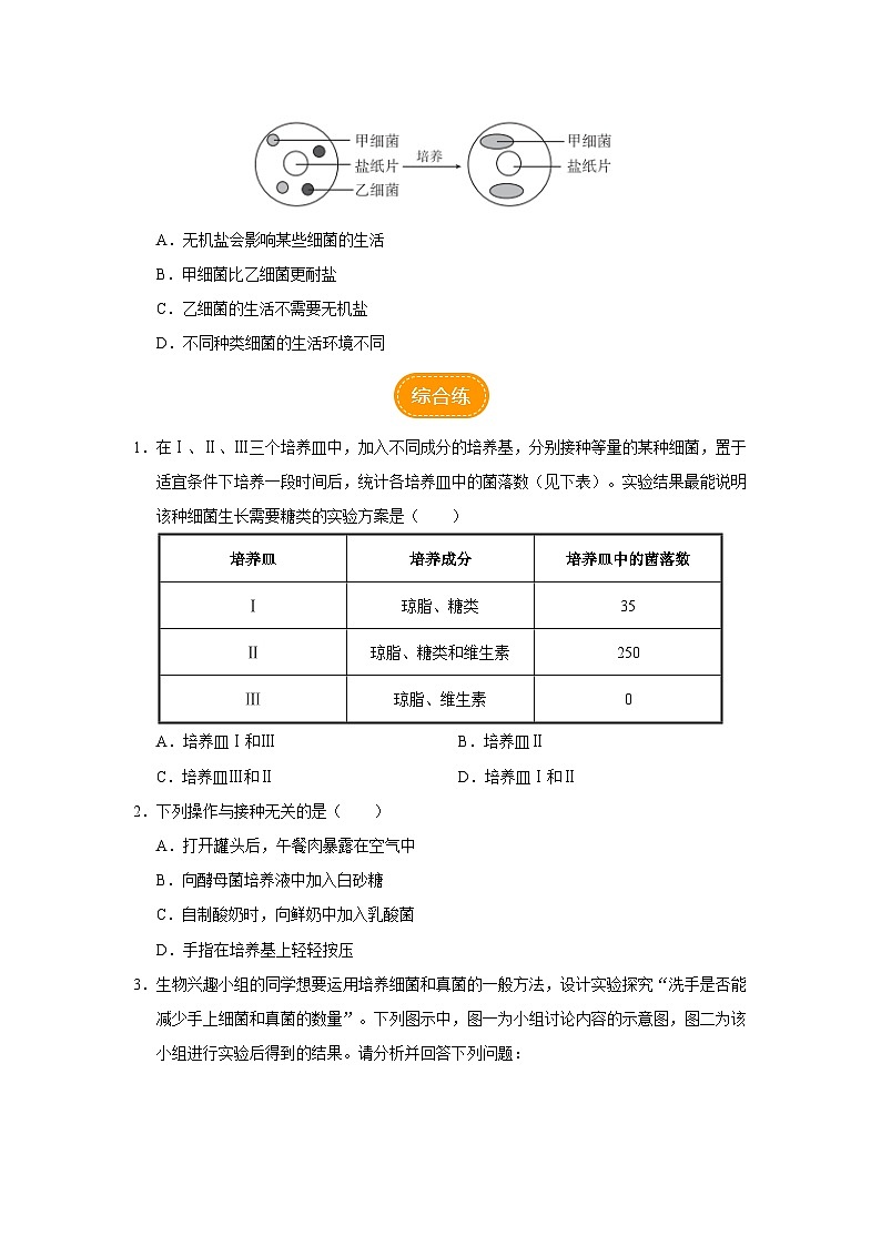 人教版八上生物  5.4.1 细菌和真菌的分布课件+教案+分层练习+学案03