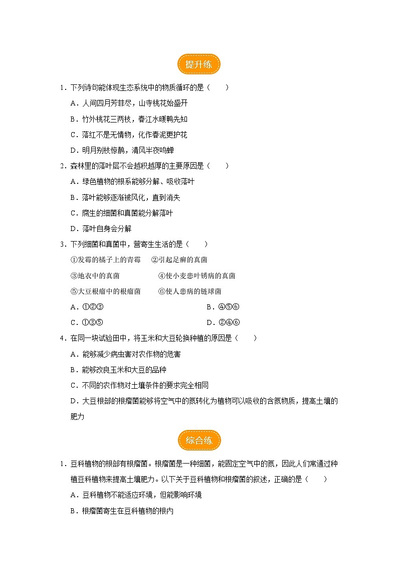 人教版八上生物  5.4.4 细菌和真菌在自然界中的作用课件+教案+分层练习+学案02