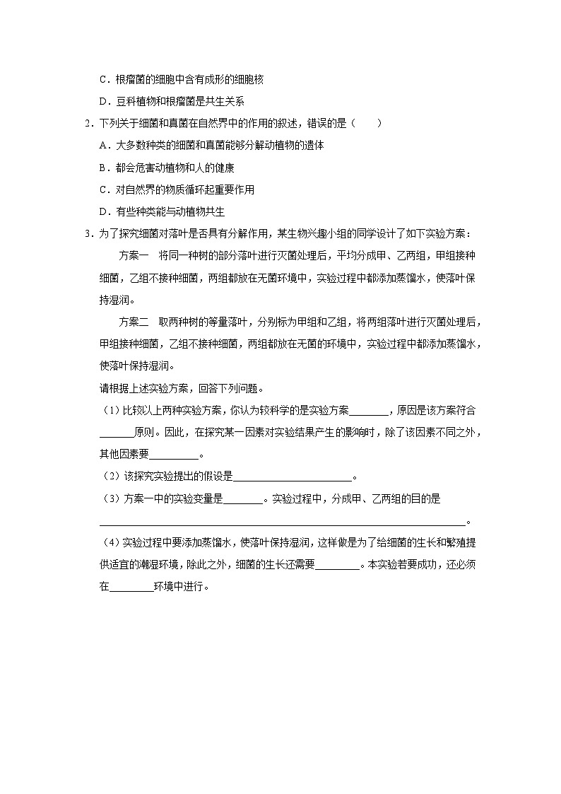 人教版八上生物  5.4.4 细菌和真菌在自然界中的作用课件+教案+分层练习+学案03