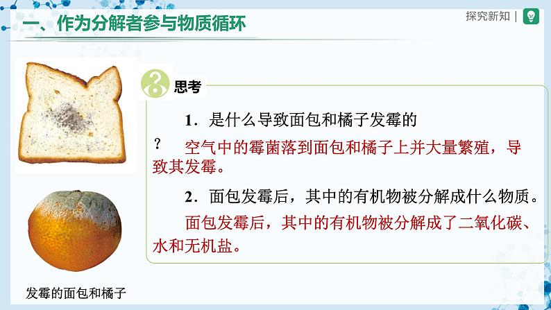 人教版八上生物  5.4.4 细菌和真菌在自然界中的作用课件+教案+分层练习+学案03