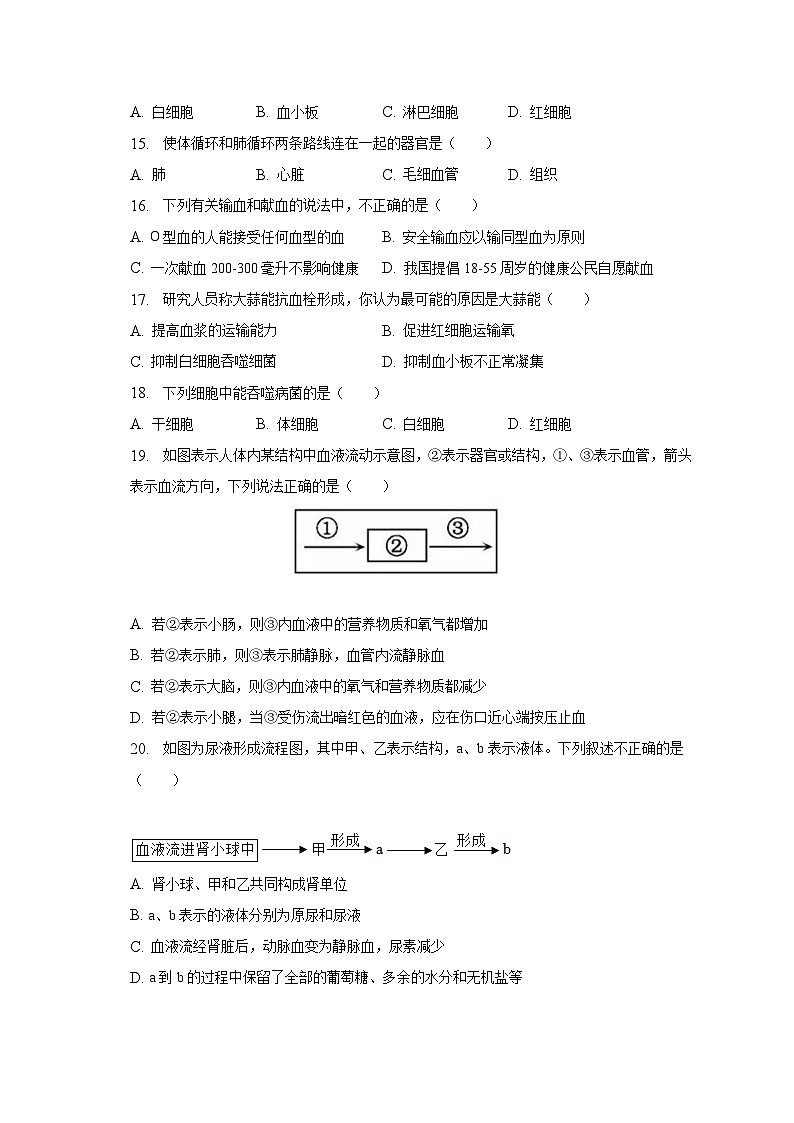 2022-2023学年河北省沧州市盐山县七年级（下）期末生物试卷（含解析）03