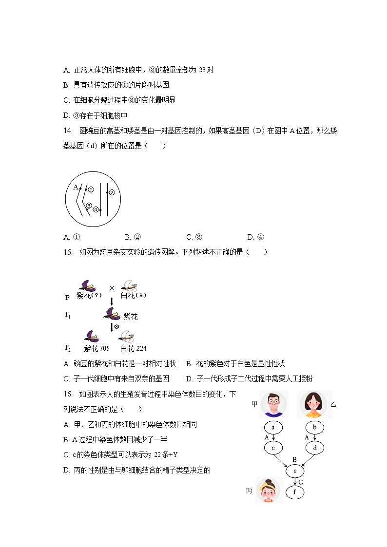 2022-2023学年安徽省六安市金安区皋城中学八年级（下）期中生物试卷（含解析）03