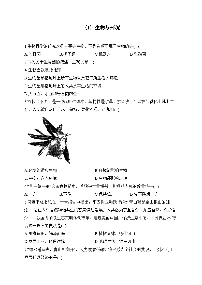 初中生物备考专题小练 （1）生物与环境第1页