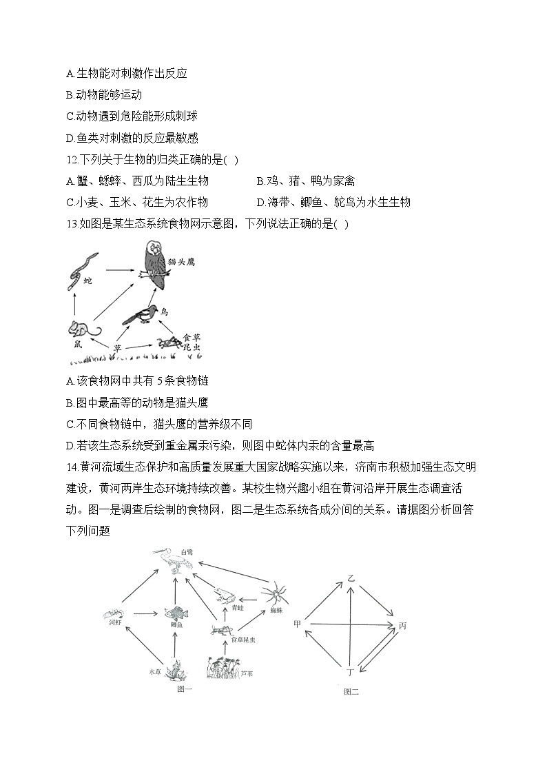 初中生物备考专题小练 （1）生物与环境第3页