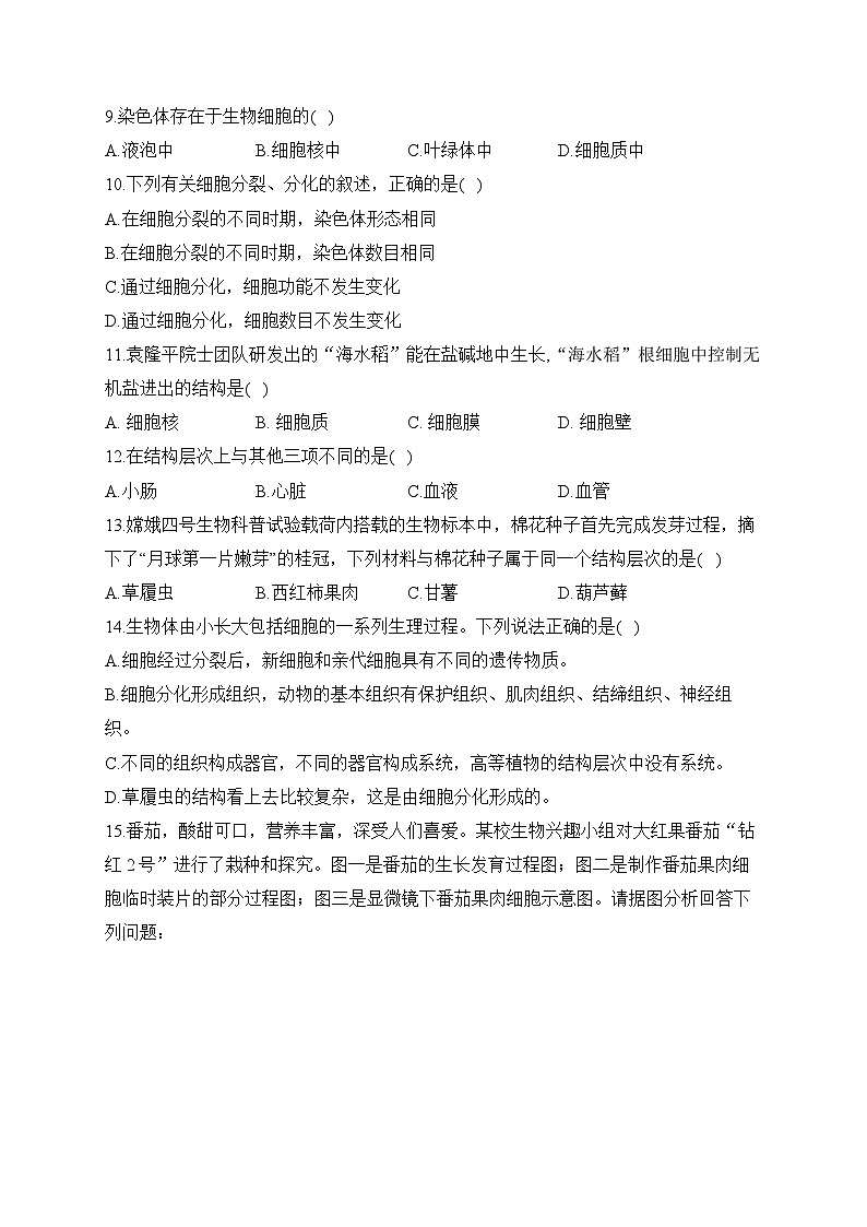 初中生物备考专题小练 （2）生物体的结构层次第2页