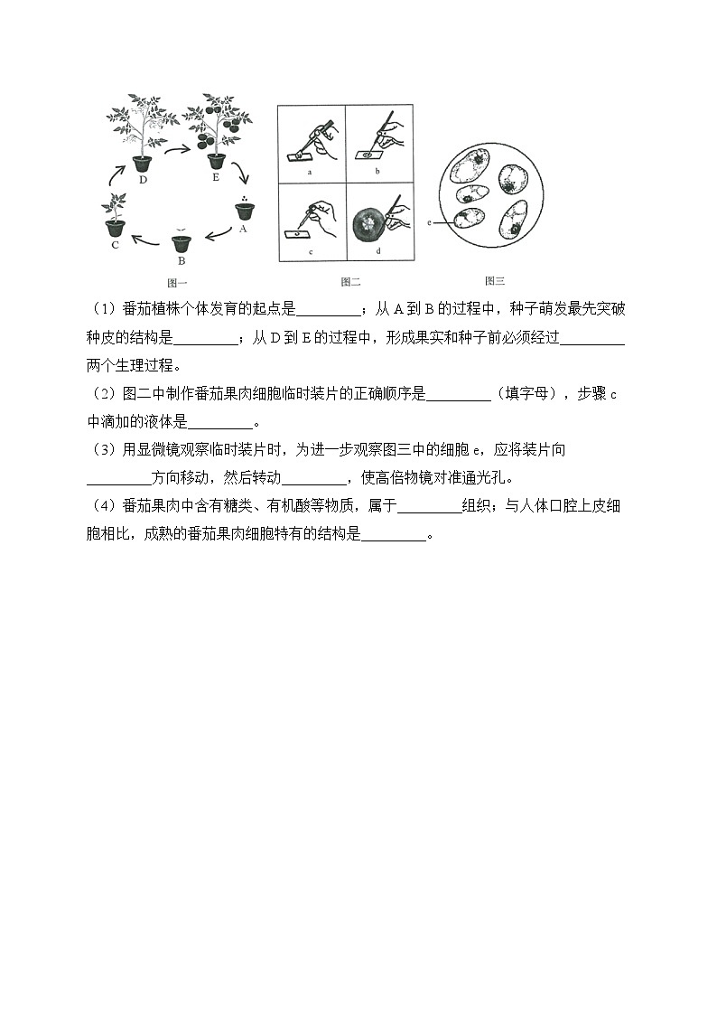 初中生物备考专题小练 （2）生物体的结构层次第3页