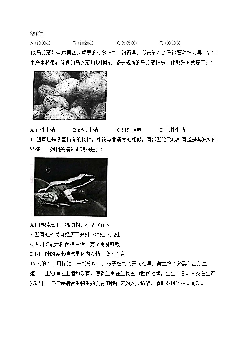 初中生物备考专题小练 （6）生物的生殖、发育第3页