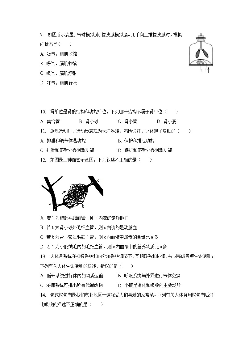 2022-2023学年河南省开封市通许县七年级（下）期末生物试卷（含解析）03