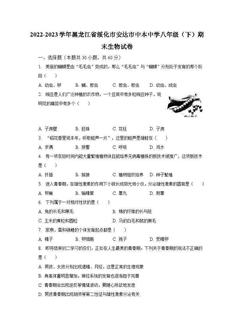 2022-2023学年黑龙江省绥化市安达市中本中学八年级（下）期末生物试卷（含解析）第1页