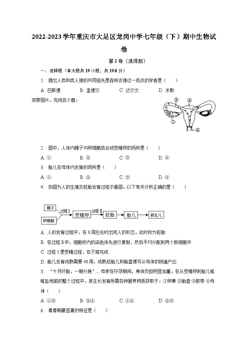 2022-2023学年重庆市大足区龙岗中学七年级（下）期中生物试卷（含解析）01
