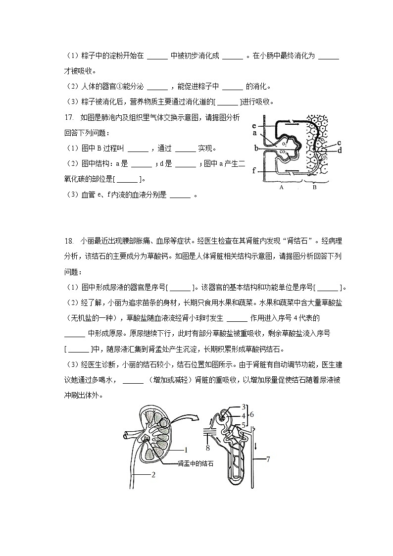 2022-2023学年广西贵港市覃塘区七年级（下）期末生物试卷（含解析）03