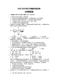 湖南省益阳市大通湖区两校2022-2023学年七年级下学期期末联考生物试卷（含答案）