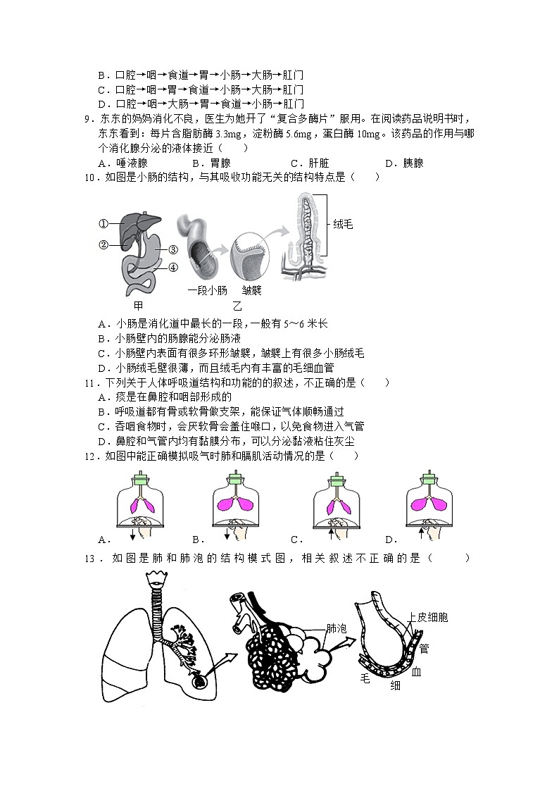 湖南省益阳市大通湖区两校2022-2023学年七年级下学期期末联考生物试卷（含答案）02