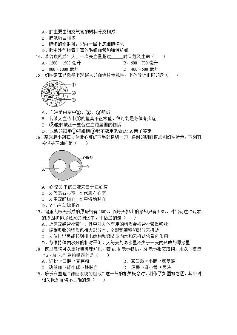 湖南省益阳市大通湖区两校2022-2023学年七年级下学期期末联考生物试卷（含答案）03