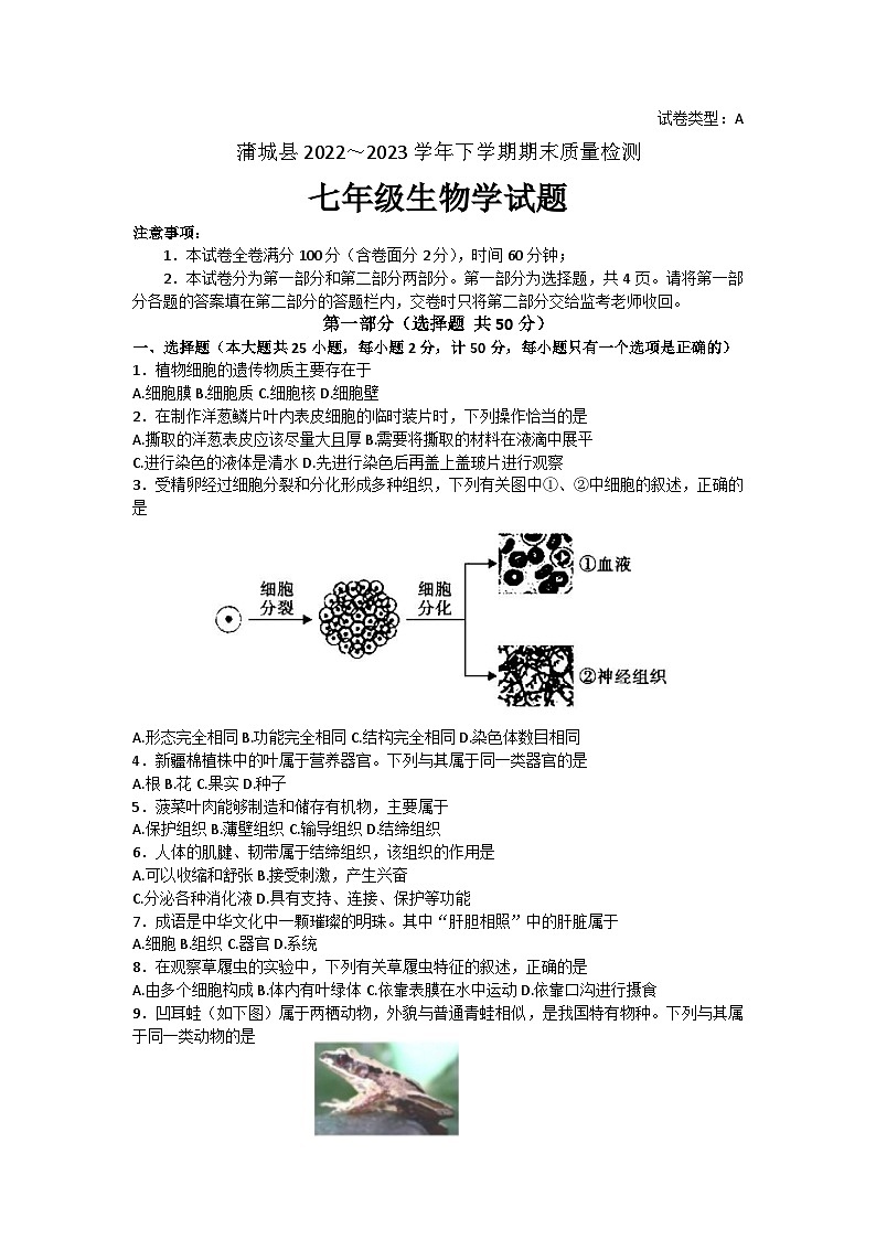 陕西省渭南市蒲城县2022-2023学年七年级下学期期末生物试题（含答案）第1页