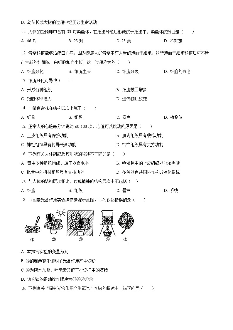 北京市北京师范大学附属实验中学2022-2023学年七年级上学期期中生物试题03