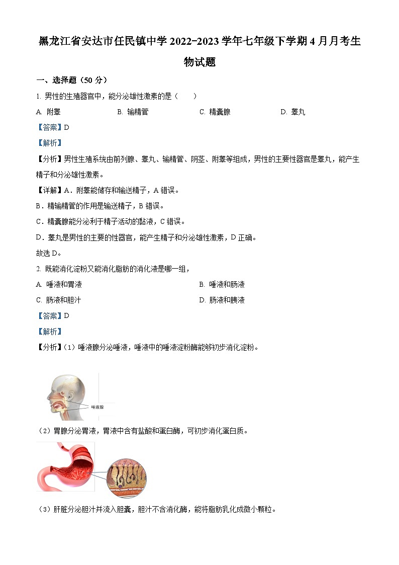 黑龙江省安达市任民镇中学2022-2023学年七年级下学期4月月考生物试题（解析版）第1页