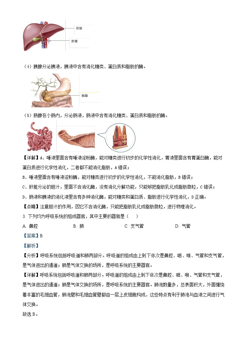 黑龙江省安达市任民镇中学2022-2023学年七年级下学期4月月考生物试题（解析版）第2页